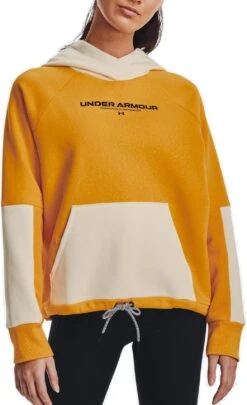 Felpe Con Cappuccio Under Armour Rival + Fleece Hoodie-GLD